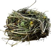Maison d'Abri - Hopkransje - Hop - 15cm