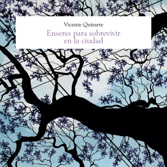 Enseres para sobrevivir en la ciudad - cover