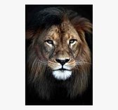 Lion Head - Foto op plexiglas formaat 80x120cm incl. gratis ophangsysteem - Wanddecoratie