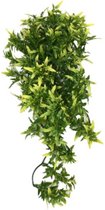 imitatieplant Croton 40 cm groen