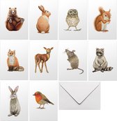 World of Mies 10 blanco wenskaarten bosdieren - kaartenset met envelop - zonder tekst - dubbelgevouwen kaarten in luxe doosje - A6 formaat - illustraties handgeschilderd door Mies