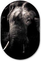 Ovale mural Eléphant noir et blanc - WallCatcher | Verre acrylique 100x150 cm | Peinture ovale | Elephant Ovale Mural