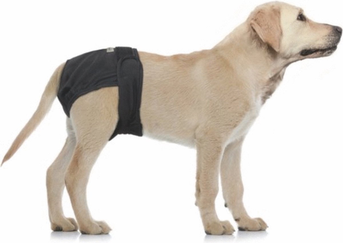 Vetlando Wasbare Luier Voor Teven Zwart - Hondenzindelijkstraining - XL