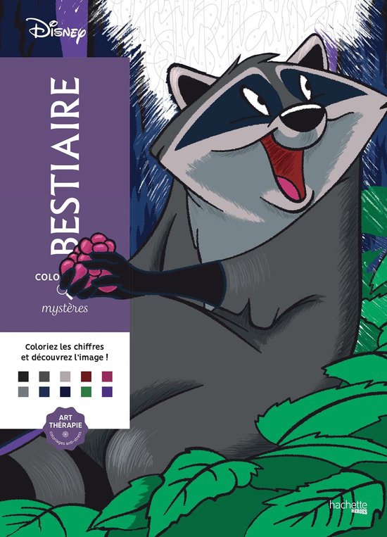 neerhalen verdwijnen stilte Coloriages Mystères Disney - Bestiaire - Kleuren op nummer Kleurboek voor  volwassenen | bol.com