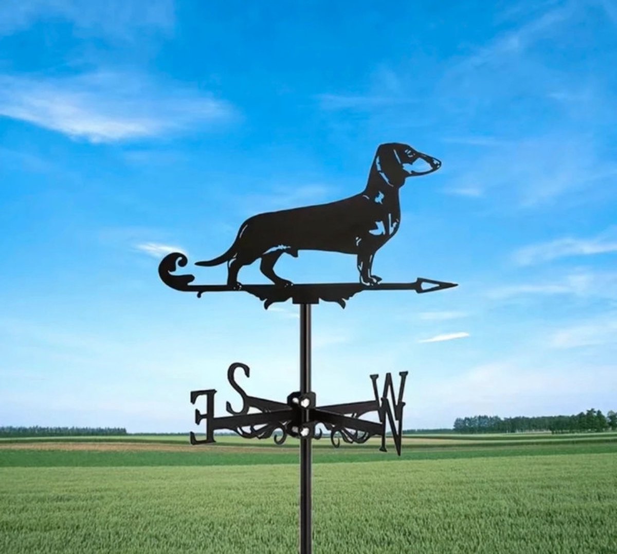 Teckel - Weervlag - Metaal - Windrichtingsindicator - Smeedijzer - Zwart - Windrichting - Weerstation - Kompas - Silhouette - tuinbeeld