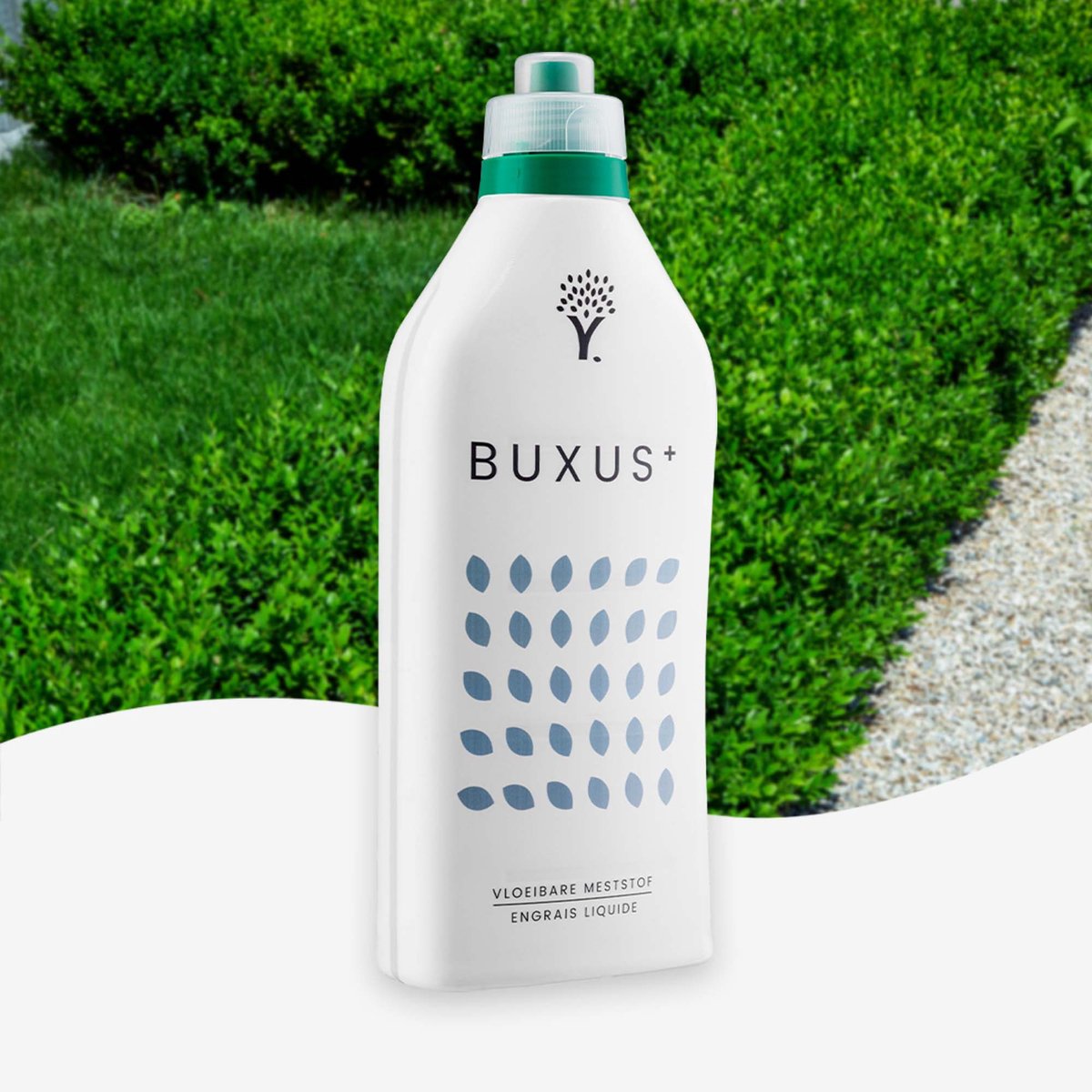 MOOWY Biologische Buxus en Hagen Meststof 1 Liter voor 500 m² - Diep Groene en Sterke Bladeren