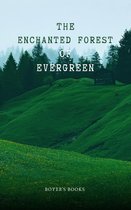 The Enchanted Forest of Evergreen