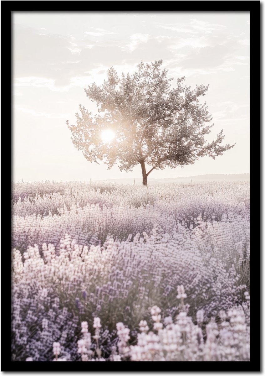 Plakkers Poster lavendelveld met boom - 50cm x 70cm - vintage - woonkamer - slaapkamer - bloemen posters - goedkoop - muurposter - natuur - wanddecoratie Full-colour