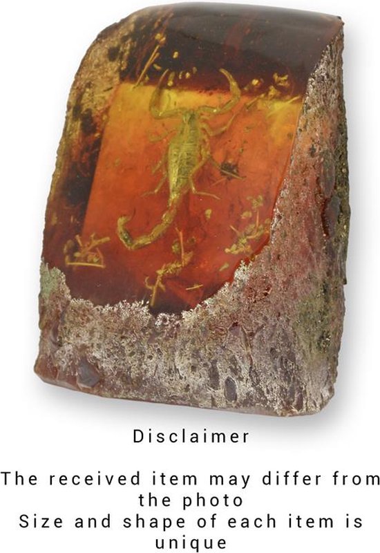 UN FOSSILE D'AMBRE ARTIFICIEL DE SCORPION