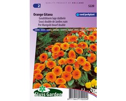 Sluis Garden Goudsbloem Orange Gitana (Calendula officinalis)
