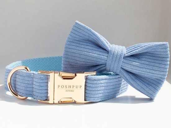 Foto: Halsband hond poshpup corduroy baby blauw honden halsband met strik v kleine en grote honden maat extra small