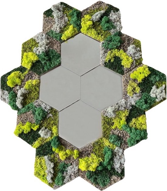 Spiegel - wanddecoratie - mos - mostegelset met spiegels hexagon