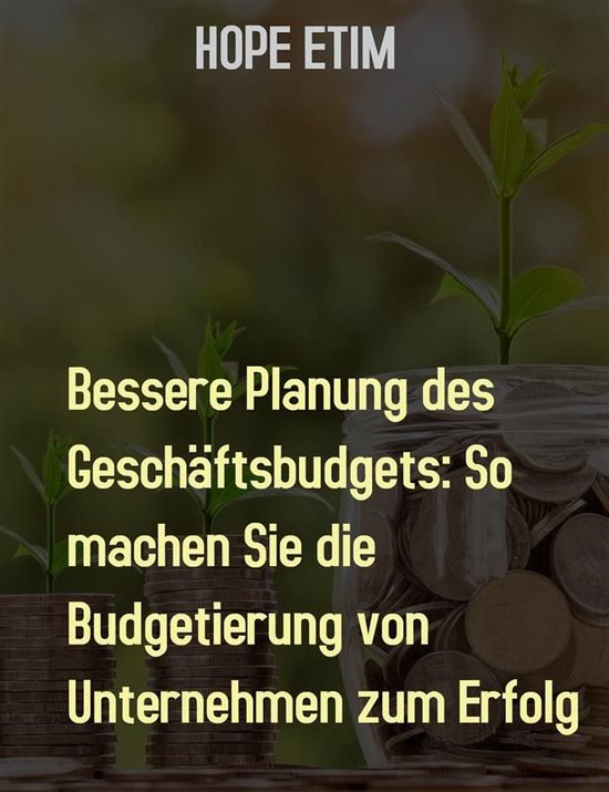 Bessere Planung des Geschäftsbudgets: So Machen Sie die Bud ... - cover