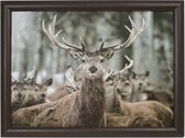 Mars & More - Laptray - Schootkussen - Winter Hert - 33x43cm