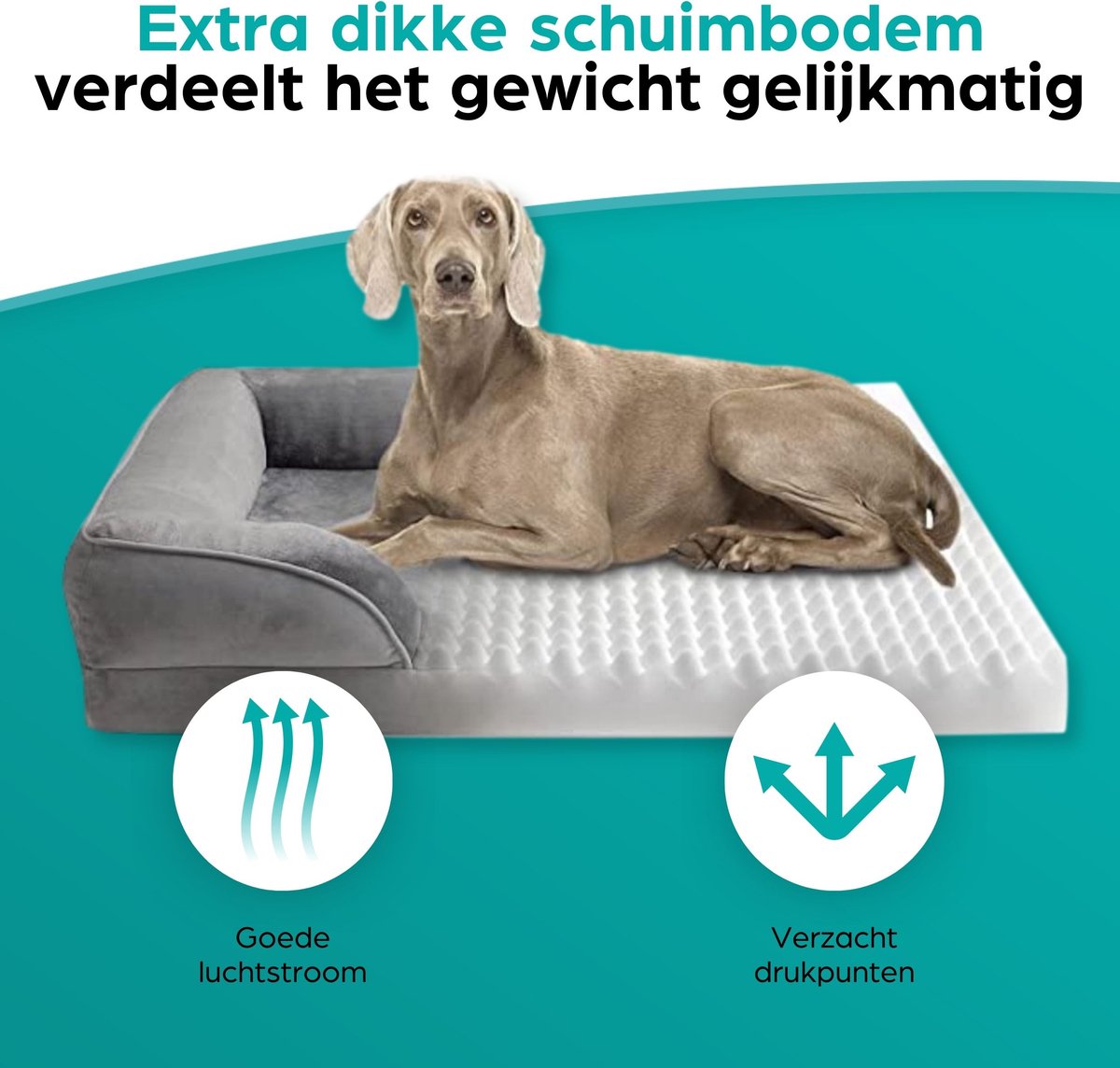 Jolibean Orthopädisches Hundebett Jumbo, 142x101cm, für große Hunde mit Kissen, Wasserfest, weich und bequem, Eierschalen-Schaumstoff, Abnehmbarer waschbarer Hülle und Rutschfester Unterseite, Creme Jolibean Orthopädisches Hundebett Jumbo, 142x101cm, für große Hunde mit Kissen, Wasserfest, weich und bequem, Eierschalen-Schaumstoff, Abnehmbarer waschbarer Hülle und Rutschfester Unterseite, Creme