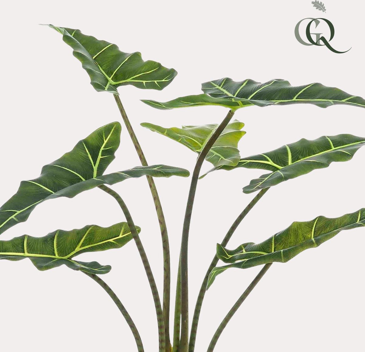 Kunstplant - Alocasia Frydek - Olifantsoor - 90 cm