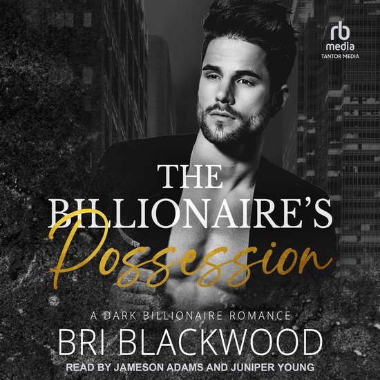 The Billionaire's Possession - cover