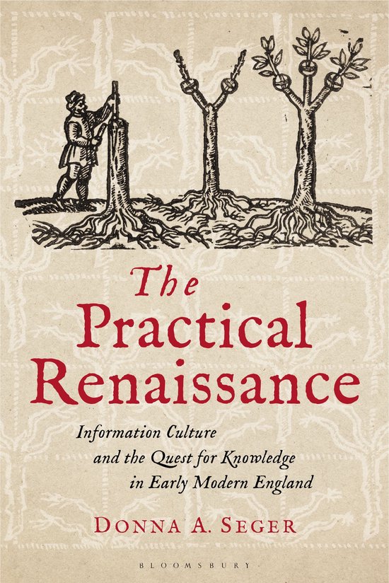 The Practical Renaissance - cover