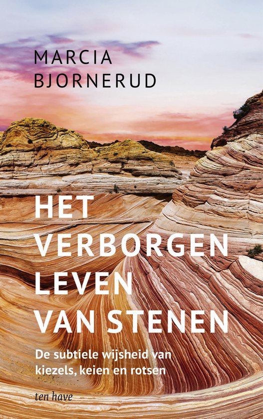 Het verborgen leven van stenen - cover