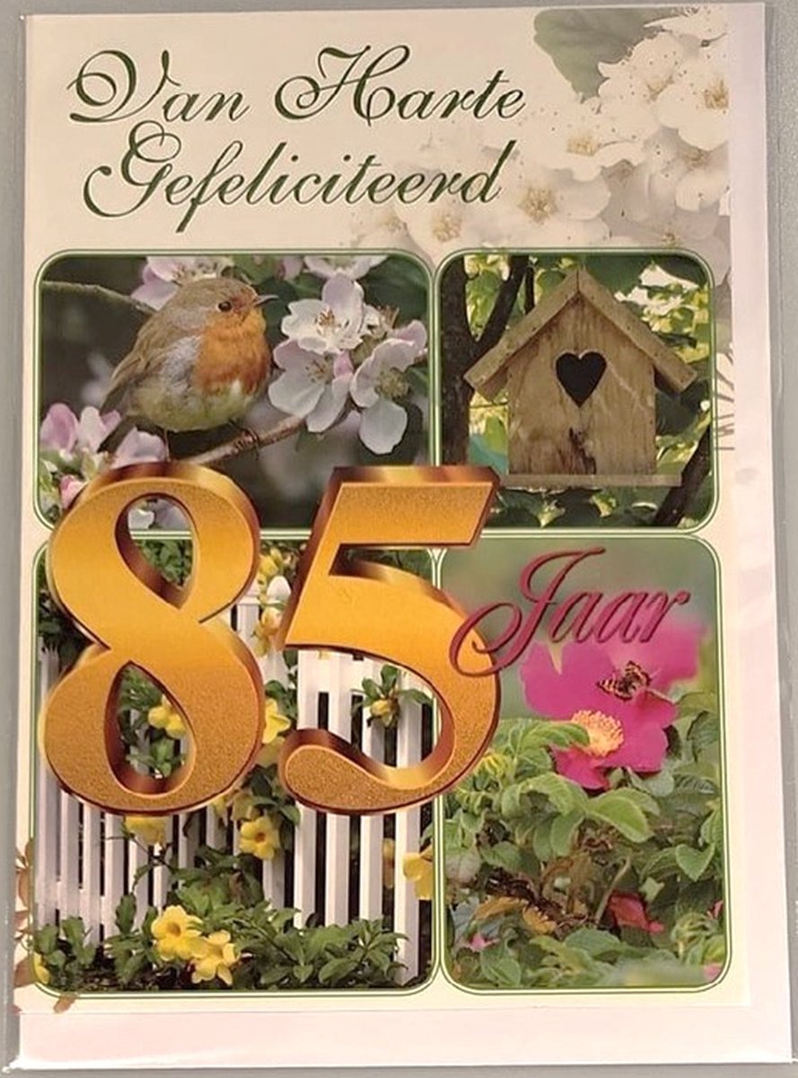 85 jaar! Van harte gefeliciteerd! Je bent 85 jaar geworden! Een kleurrijke kaart met diverse bloemen en dieren. Een leuke kaart om zo te geven of om bij een cadeau te voegen. Een dubbele wenskaart inclusief envelop en in folie verpakt.