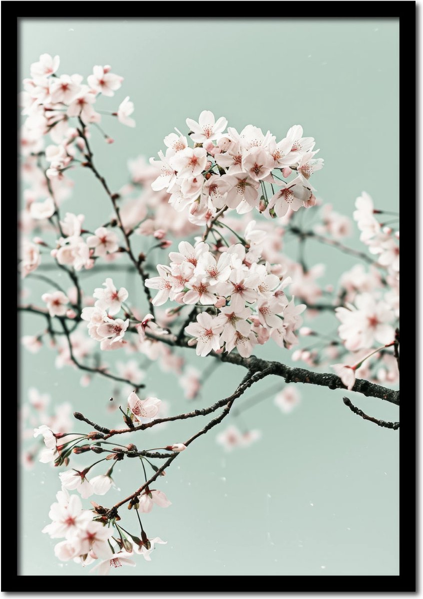 Plakkers Poster van een bloeiende bloesemtak - 21cm x 30cm a4 - vintage - woonkamer - slaapkamer - bloemen posters - goedkoop - muurposter - natuur - wanddecoratie Full-colour