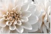 Bloemen - Wit