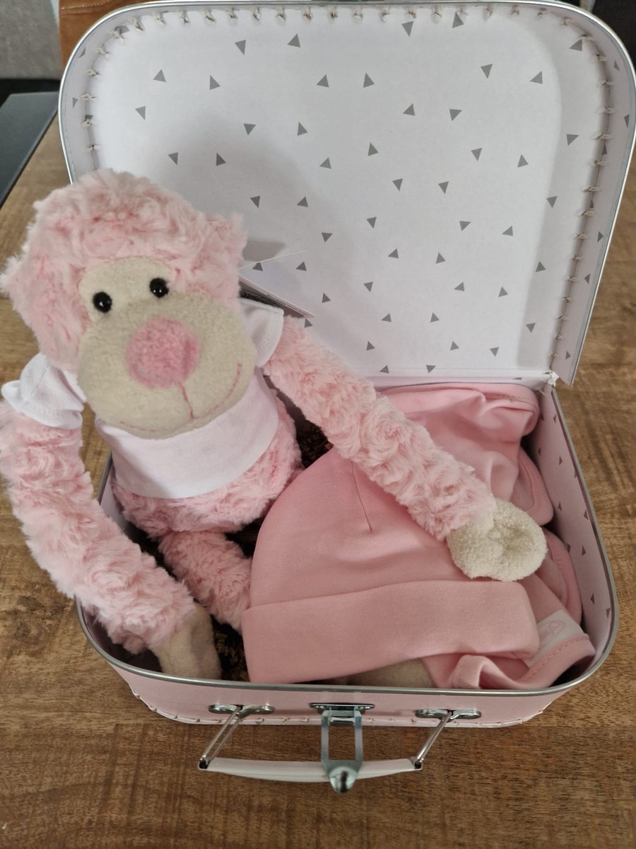 Goedkoopste Geboortecadeau koffertje, slingeraap, slabber, mutsje