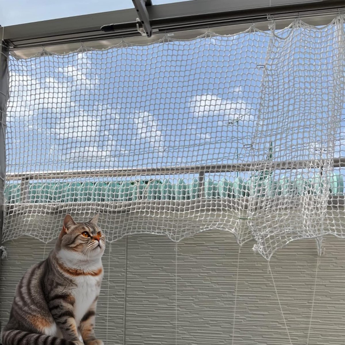 Bol.com Net kattennet voor balkon met valbeveiliging, veiligheidsnet, raambescherming en veelzijdig klimnet aanbieding
