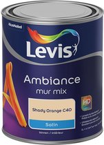 Levis - Ambiance Mur Satin Mix - Shady Orange C40 - 1 L
