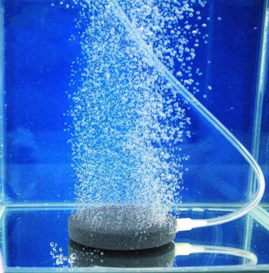 SupplyU Luchtsteen Aquarium - Zuurfstofsteen Aquarium - Aquarium Beluchting - Mineral Steen - Bruissteen - Aquarium filter - Mineral Oxygen Luchtsteen - Geschikt Voor Elk Aquarium - 40mm