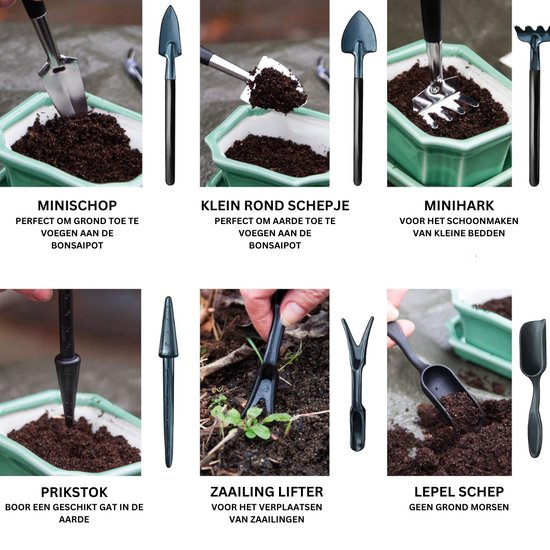 Bonsai Starters Kit - Boompje Inclusief Gereedschap - Schaar - Zaden - Schepjes — afbeelding 4