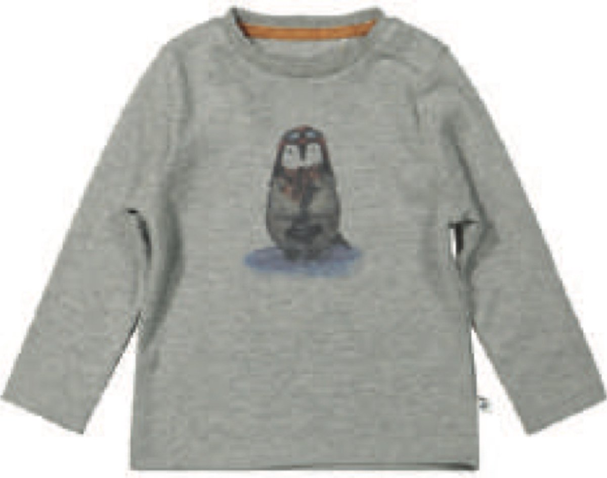 Ducky Beau longsleeve maat 68 grey melange