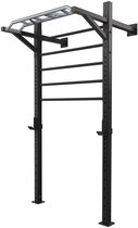 Bol.com Toorx Professional LDX-5000 Wallbar - Staal - Wandrek - 5 Sporten - met J-hooks en Optrekstang aanbieding