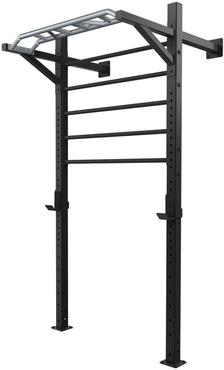 Toorx Professional LDX-5000 Wallbar Staal