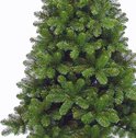 Dichtbij-opname van volle, donkergroene kerstboomtakken.