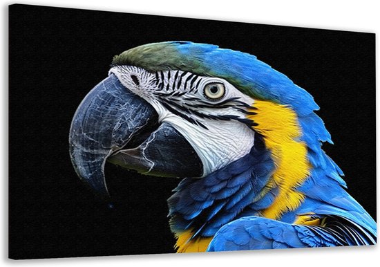 Tableau perroquet - Portrait Animaux - Peintures sur toile Ressorts - Peinture moderne - Toile - Accessoires de maison 120x80 cm
