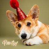 Snuit Shop wenskaart verjaardag hond ‘Pawty’