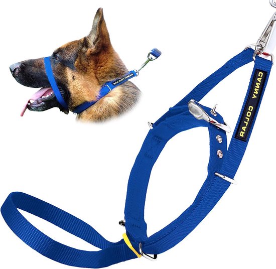 Canny Collar – Anti-Trek Hoofdhalsband voor Honden | Trainingshulpmiddel tegen Trekken aan de Lijn | Zacht, Veilig en Zonder Wurging voor Rustige Wandelingen – Blauw, Maat 4