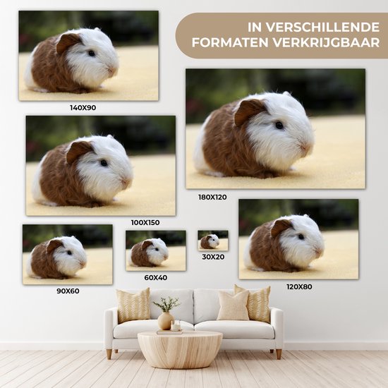 Peinture sur toile Jeune cochon d'Inde - 140x90 cm - Décoration murale