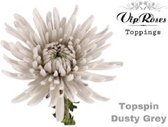 DutchFlowers - Boeket - 20x Chrysant topspin dusty grey 70cm