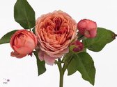 DutchFlowers - Boeket - 24x Rosa romantic antike freelander 50cm