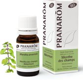 Pranarom - Essentiële olie van veldmunt - Bio - 10 ml