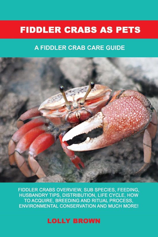 Fiddler Crabs as Pets - cover