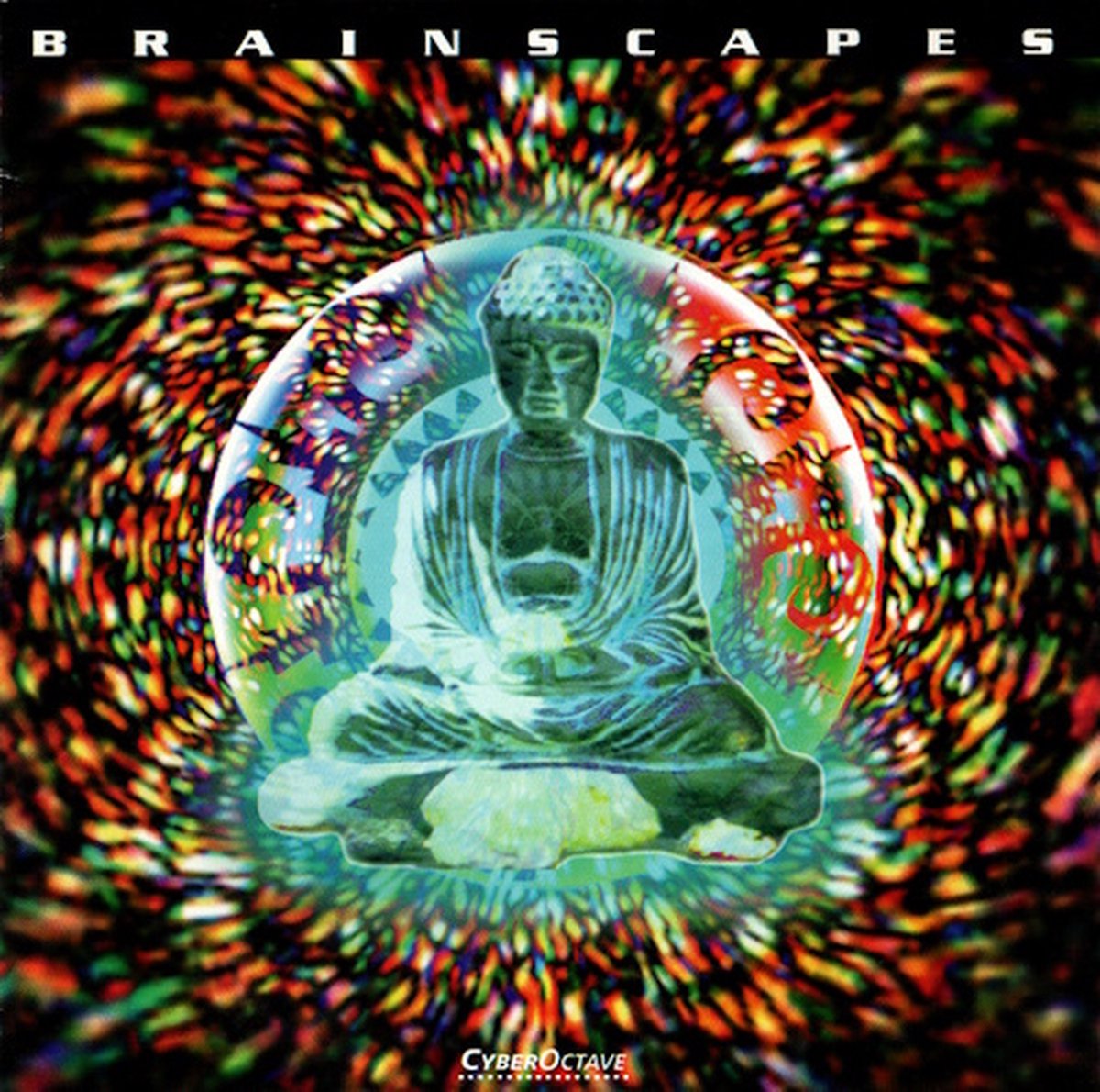 Brainscapes