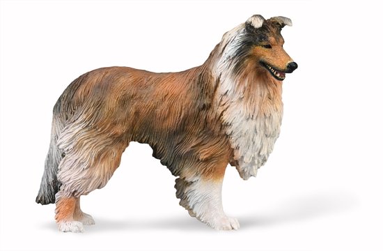 COLLECTA Collie - (L).