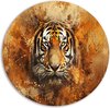 Oranje, Bruin, Zwart, Wit, Geel
