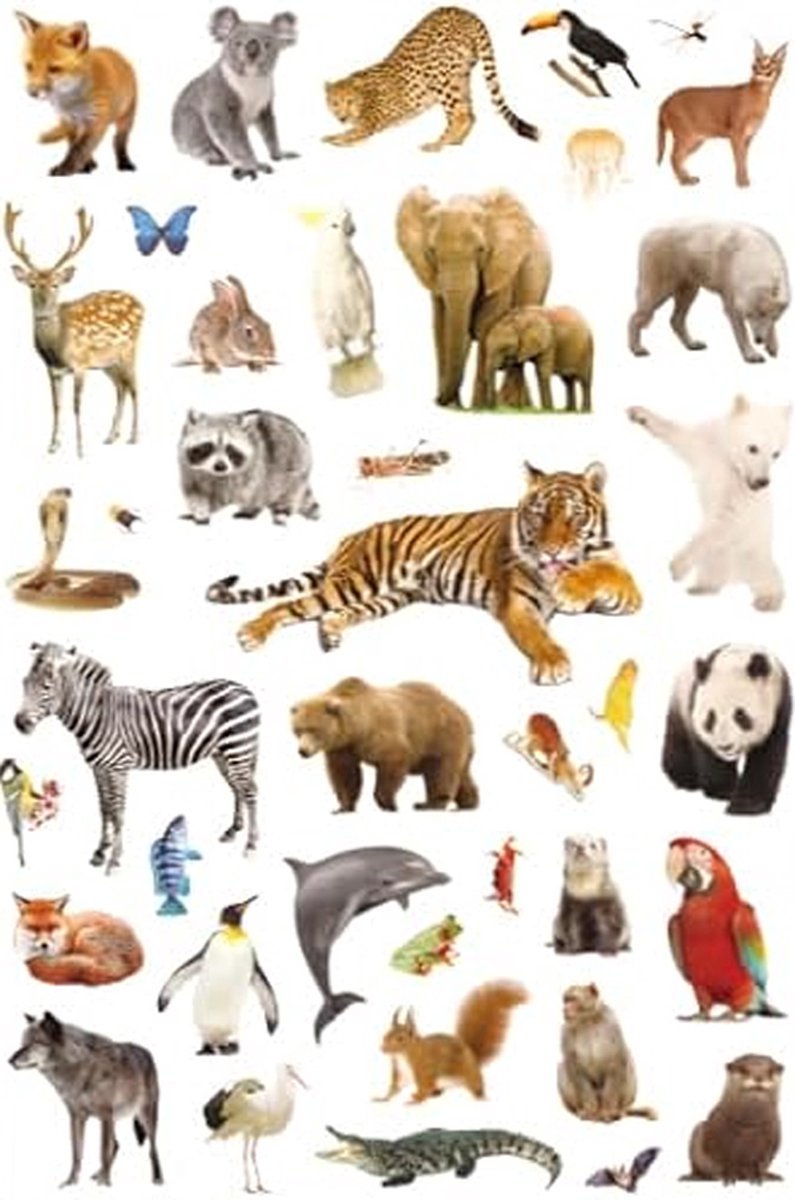 Wilde Dieren Stickers - 4 Grote Stickervellen - Knutselen Kind - Stickers Dieren — afbeelding 3