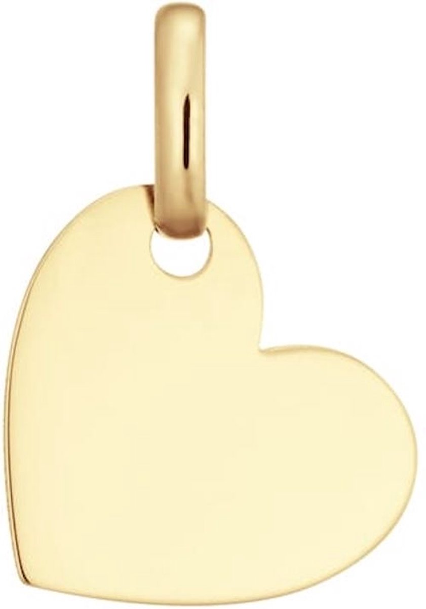 Glow 242.0053.10 Dames Hanger - Sieraad - 14 Karaat Goud - 12 mm breed - 1 cm lang