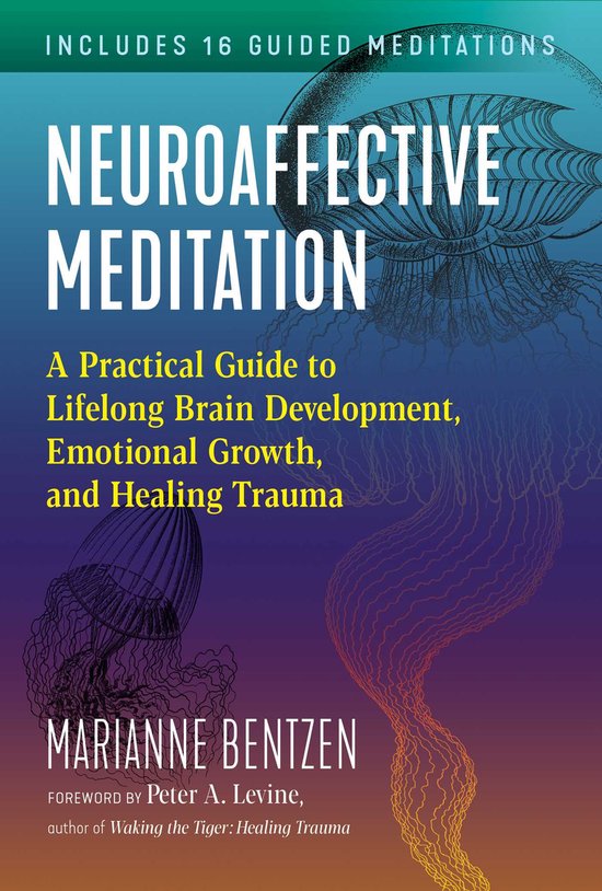 Neuroaffective Meditation - cover