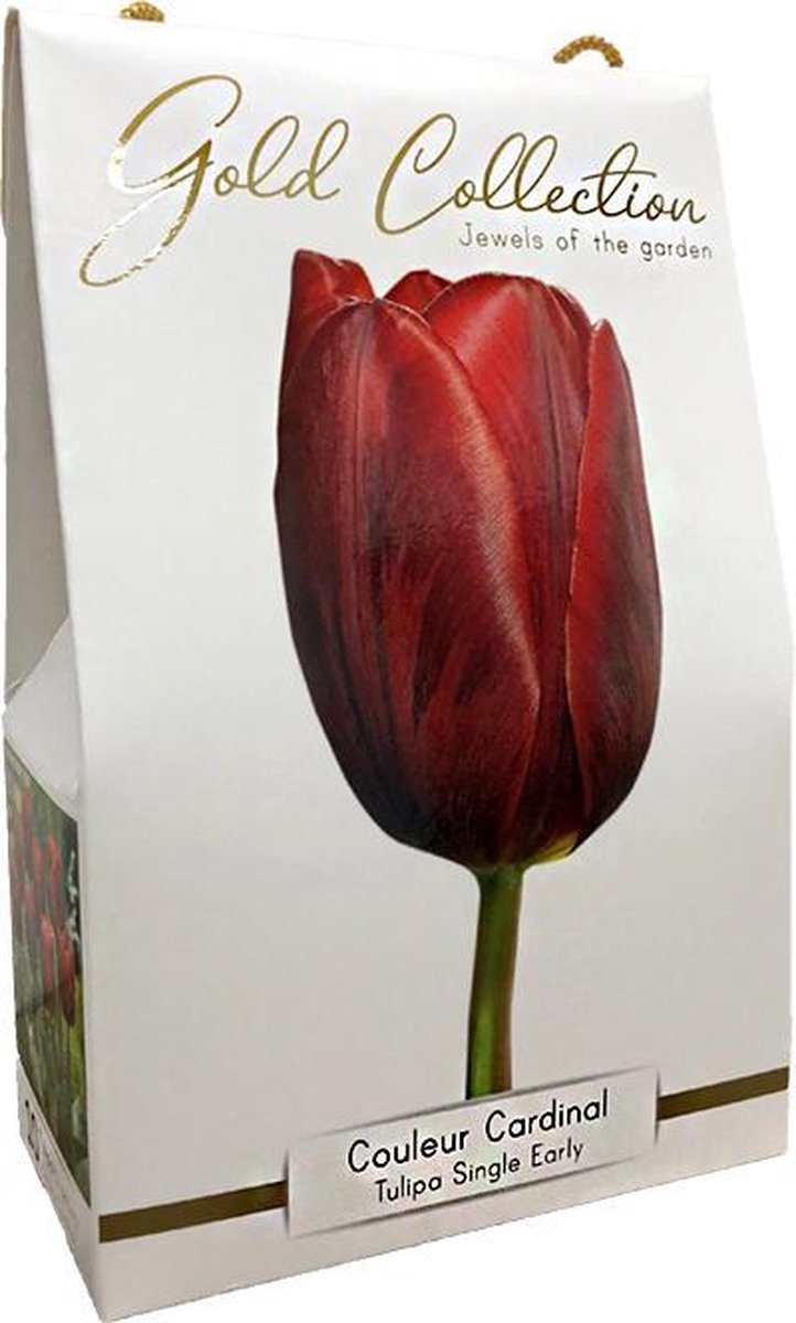 1x Tulpen 'Couleur cardinal - gold collection' - BULBi® Bloembollen met bloeigarantie